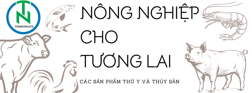 TIEN NONG LTD