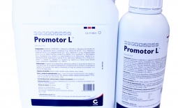 PROMOTOR L